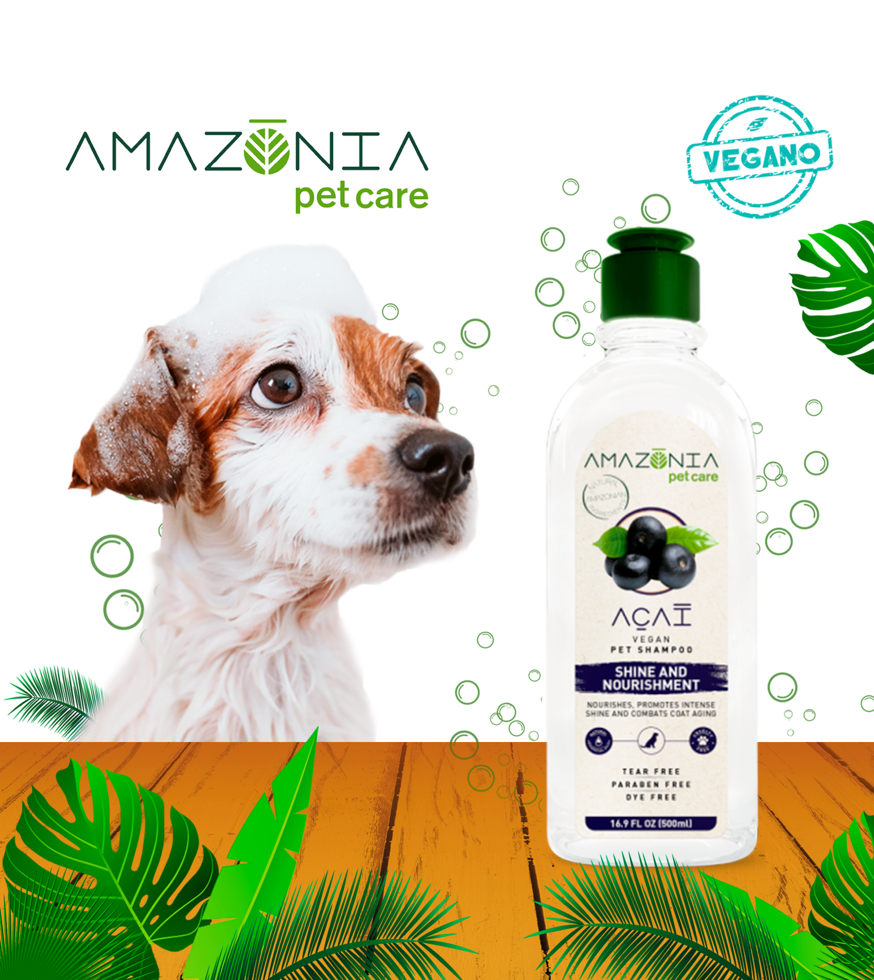 Amazonia-22-acai