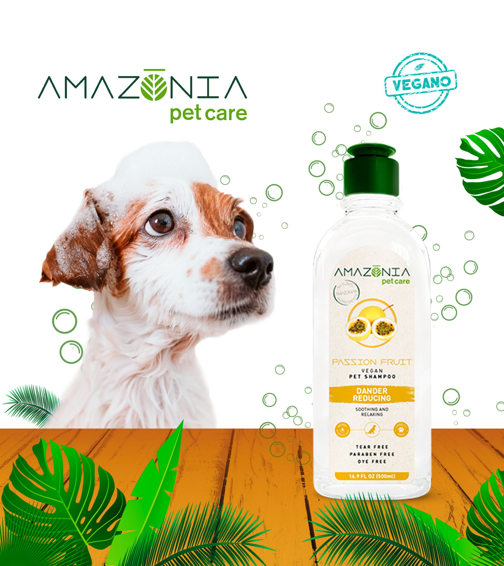 Amazonia-22