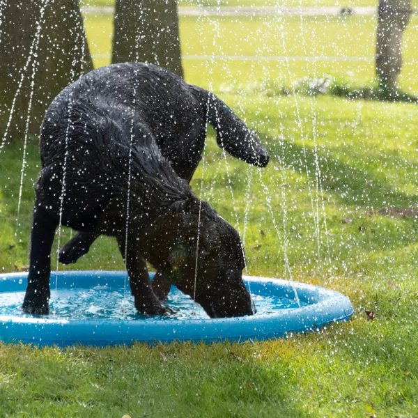 Coolpets Splash