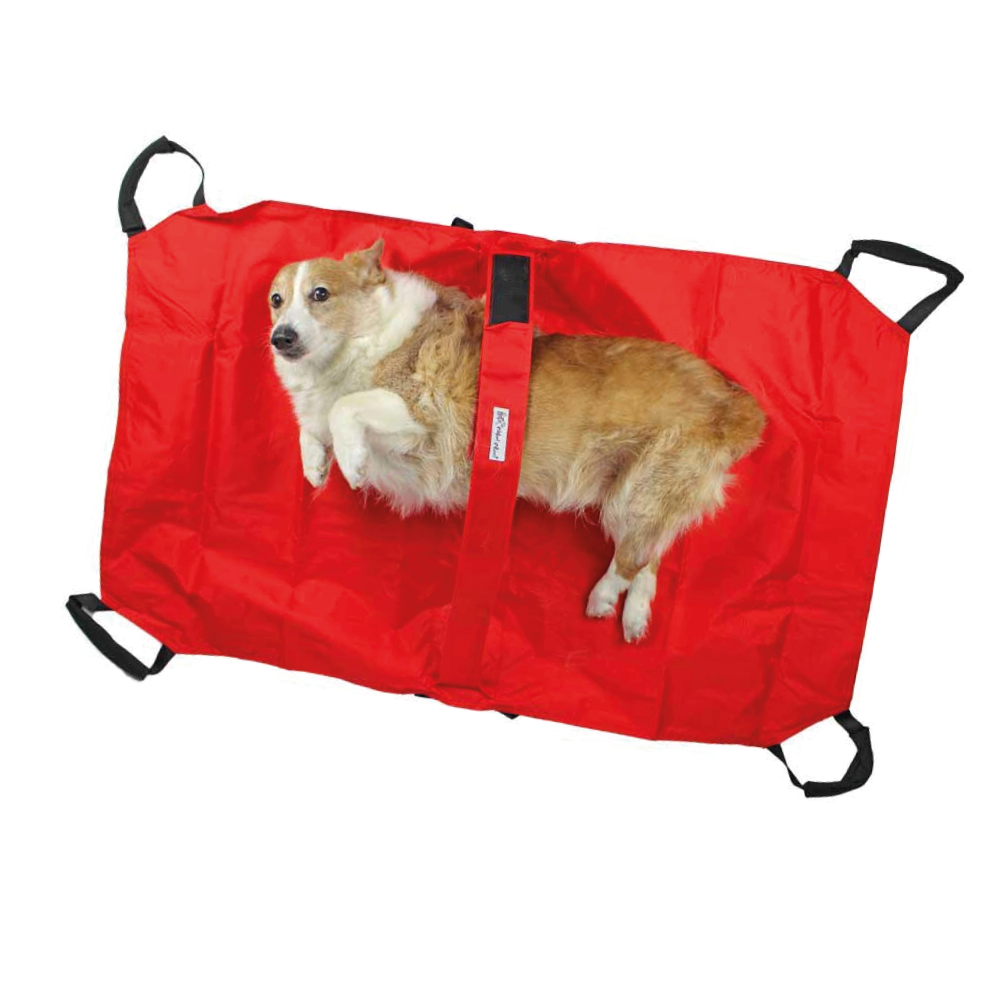 Camilla para perros