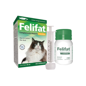 Felifat