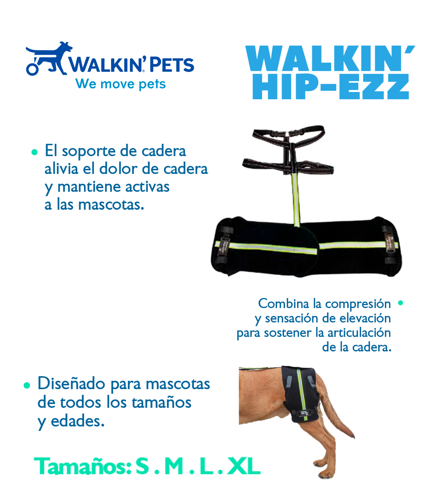 Mesa-de-trabajo-6