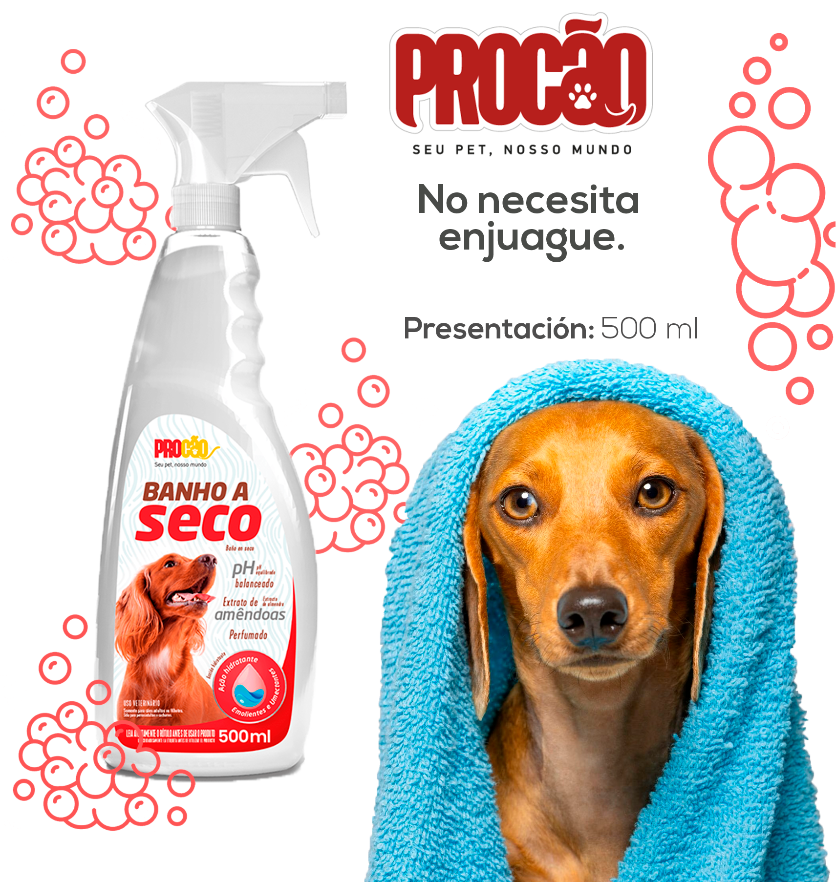 Shampoo-en-seco-1