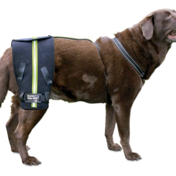 Sistema de Soporte Walkin' Hip-EEZ