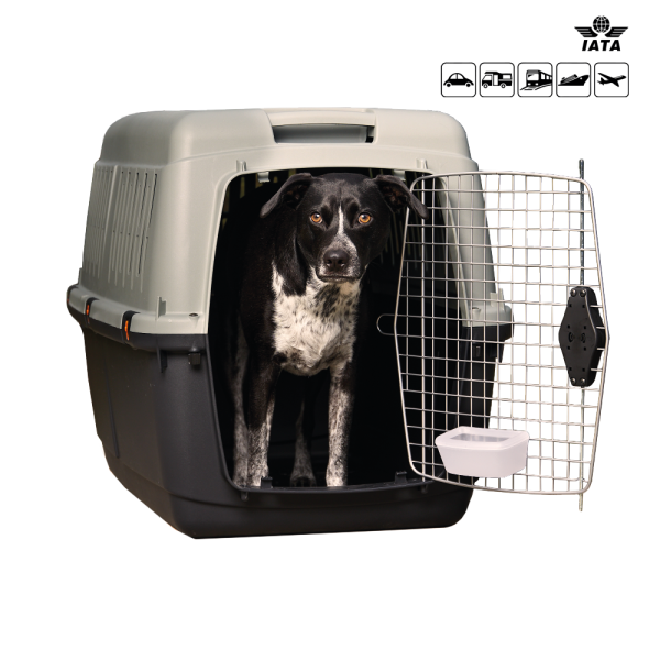 Transportador Eco Bracco – Zoonee
