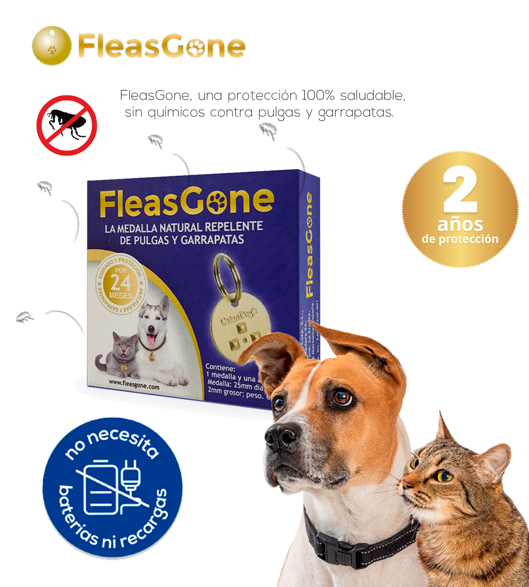 fleasgone.psd