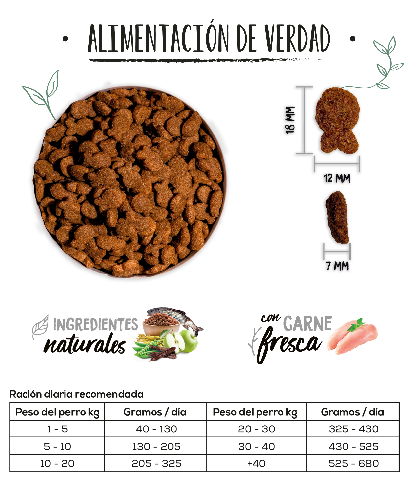 ow-classic-fish-dog-croquetaadl-2