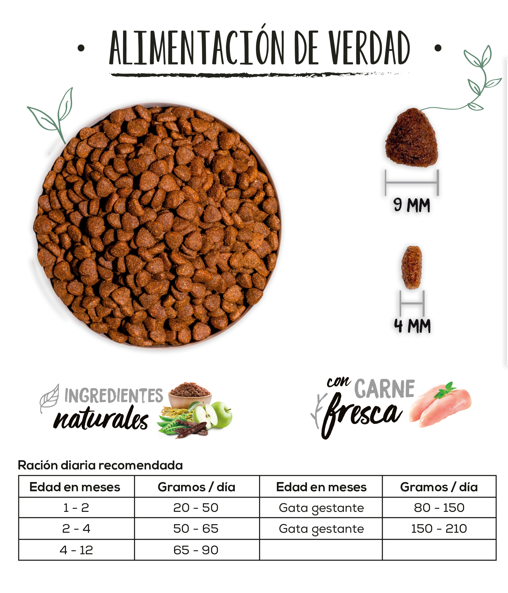 ow-classic-kitten-platoadll